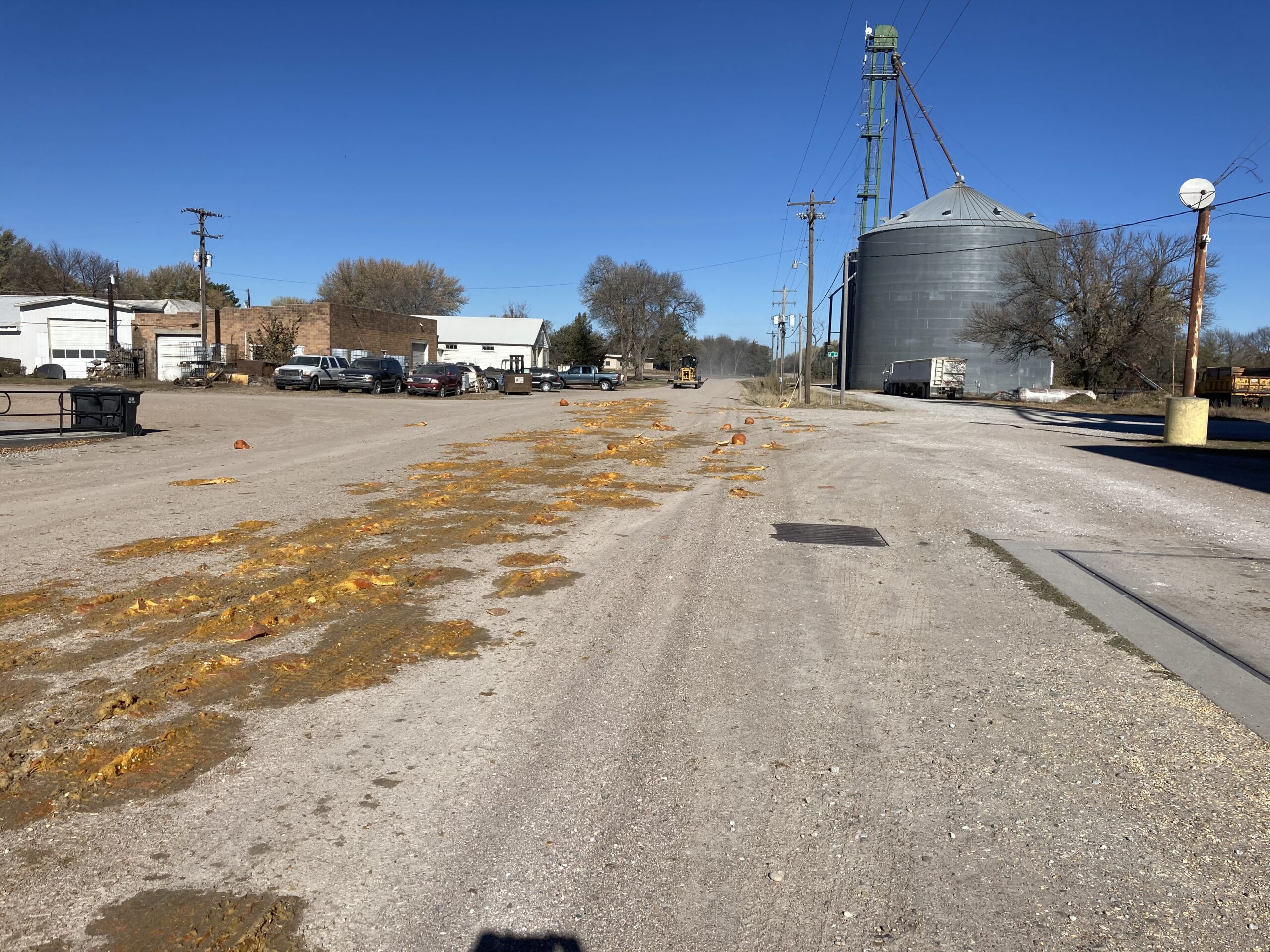 Smashed pumpkins on the road